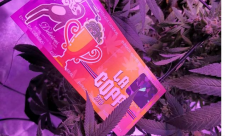 Costa Rica 4/20